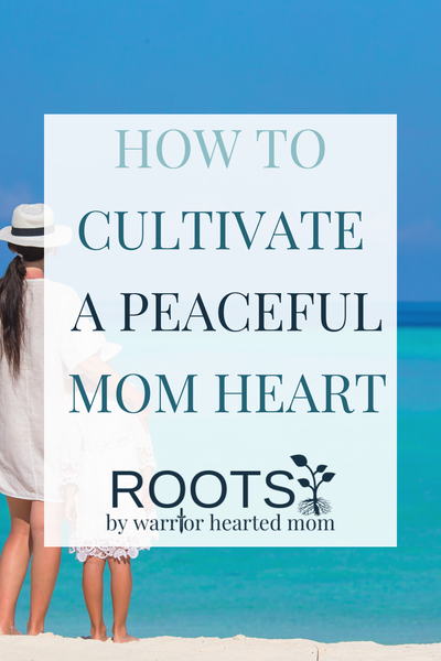 Learn how worship plays a powerful part in our heart attitude, and how to fit it into your busy mom schedule.